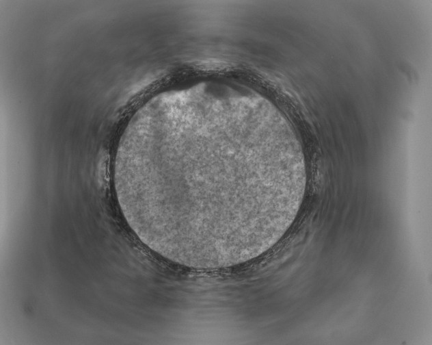 X0000112031301200909141048