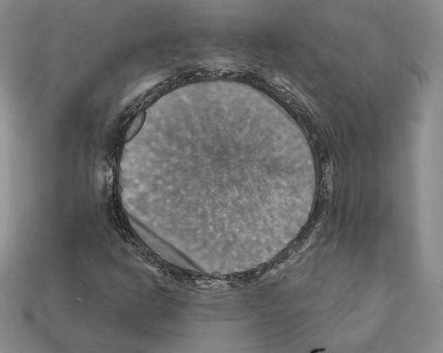 X0000112031302200909141048