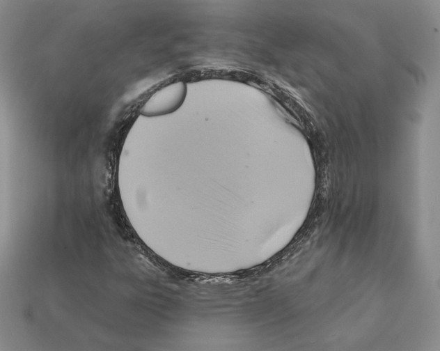 X0000112031303200909141048