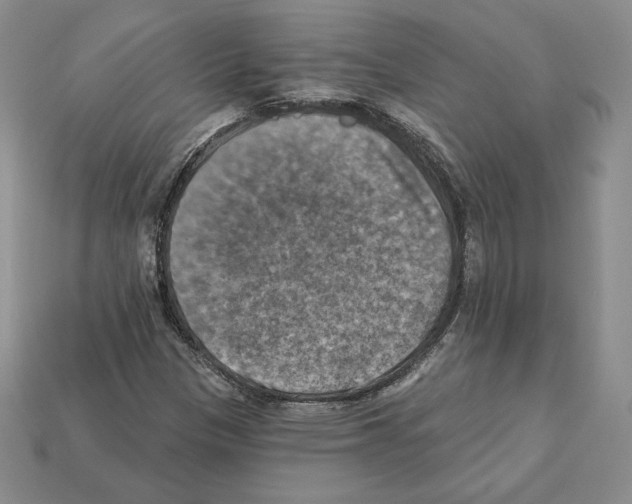 X0000112031305200909141048