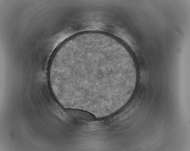 X0000112031308200909141048