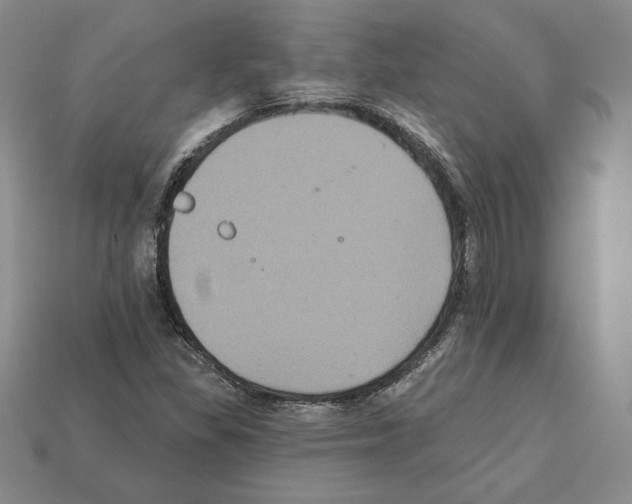 X0000112031309200909141048