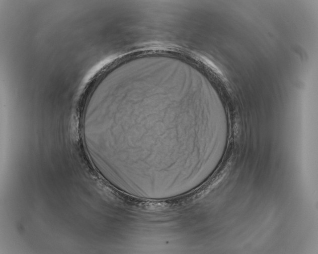 X0000112031310200909141048
