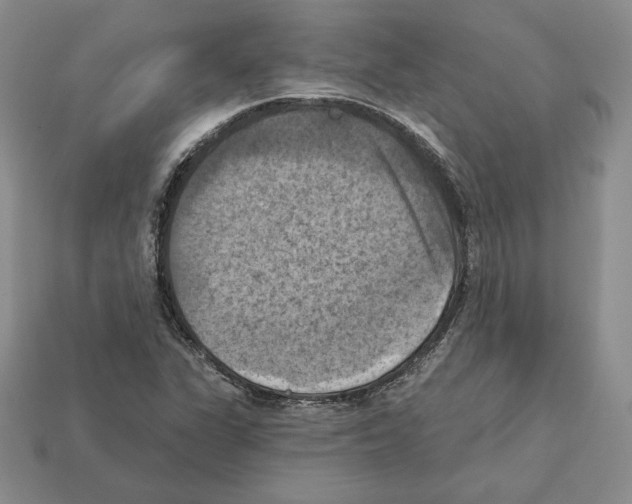 X0000112031311200909141048