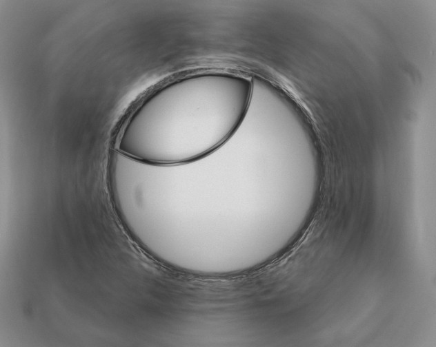 X0000112031312200909141048