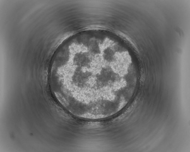 X0000112031313200909141048