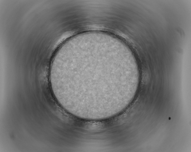X0000112031314200909141048