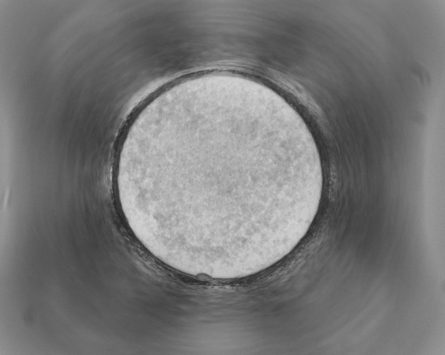 X0000112031316200909141048