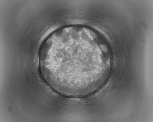 X0000112031317200909141048