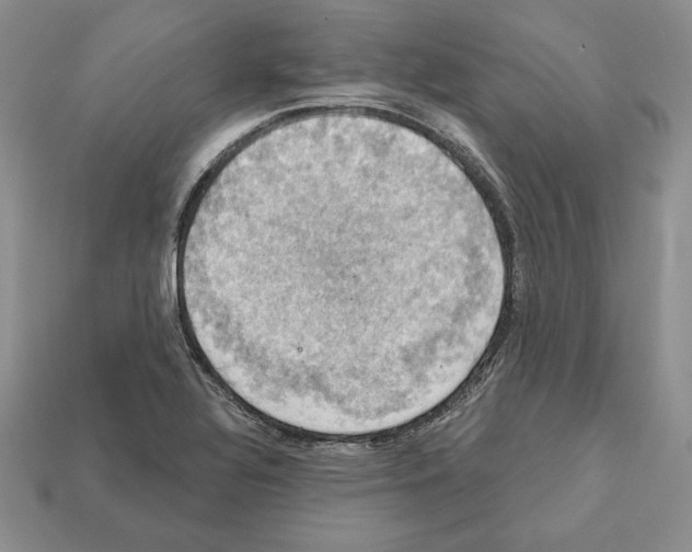 X0000112031320200909141048
