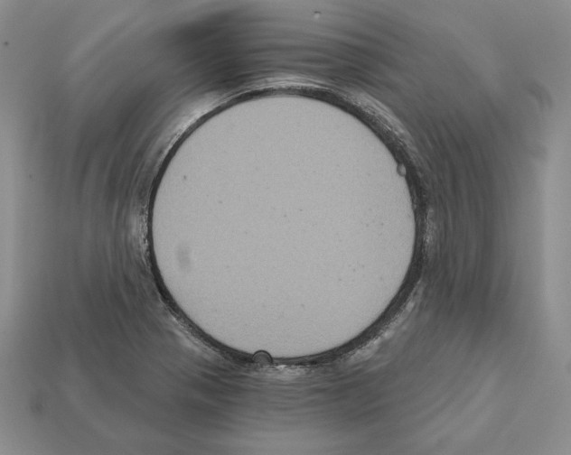 X0000112031321200909141048