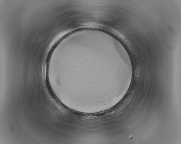 X0000112031323200909141048
