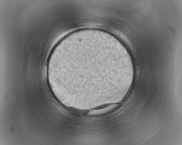 X0000112031324200909141048