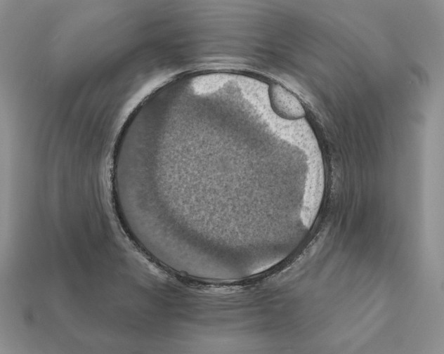 X0000112031325200909141048