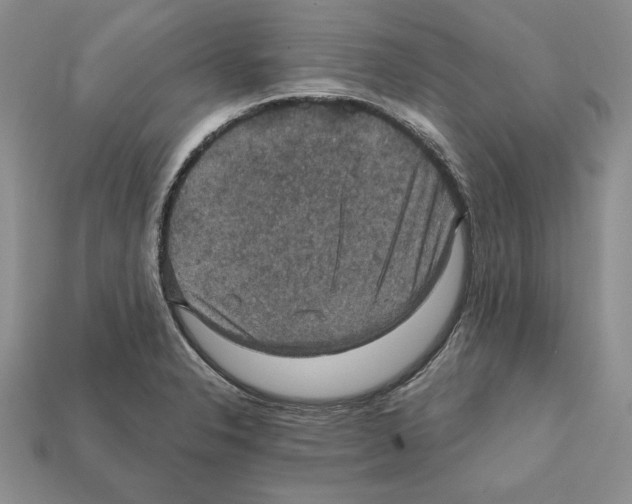 X0000112031326200909141048