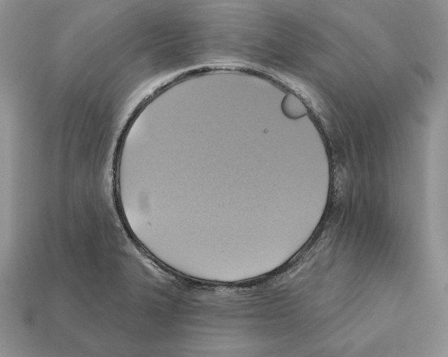 X0000112031327200909141048