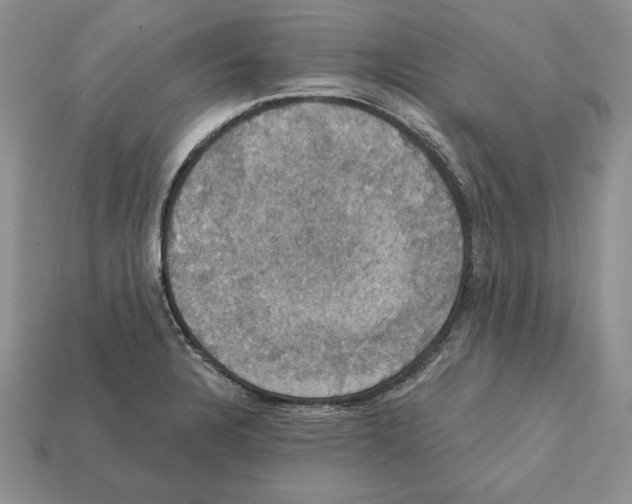 X0000112031328200909141048
