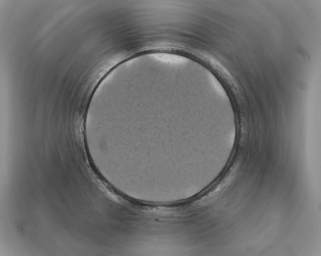 X0000112031329200909141048