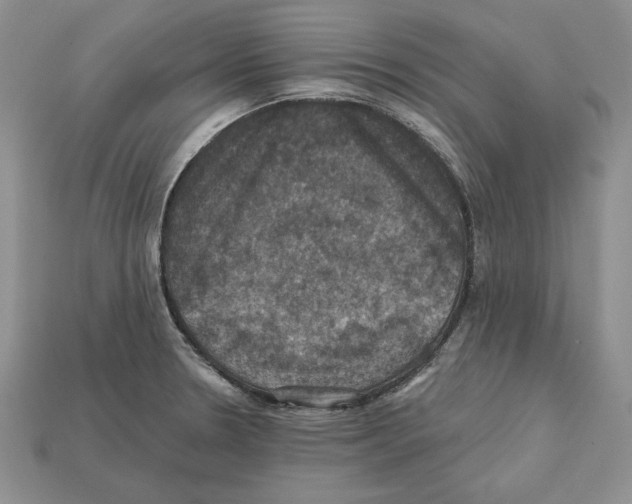 X0000112031330200909141048