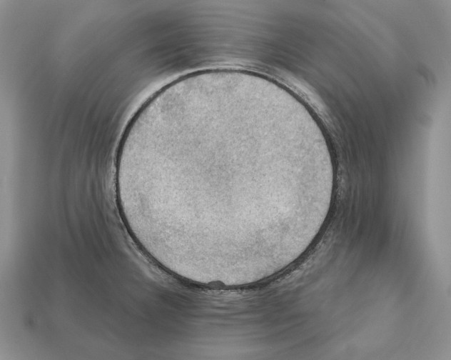 X0000112031332200909141048
