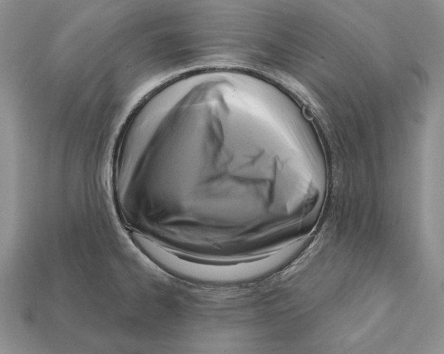 X0000112031334200909141048