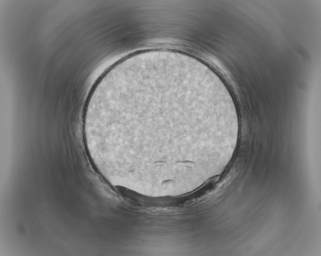 X0000112031336200909141048
