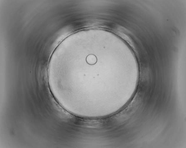 X0000112031338200909141048