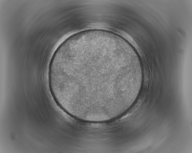 X0000112031339200909141048