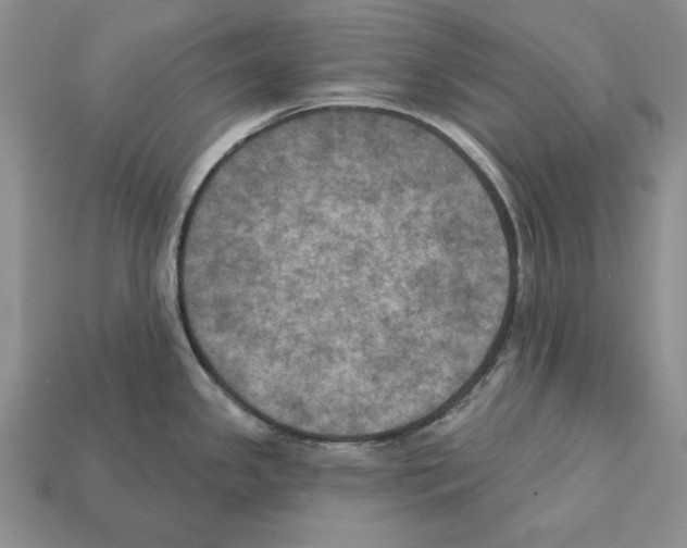 X0000112031341200909141048