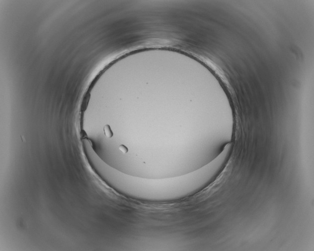 X0000112031342200909141048