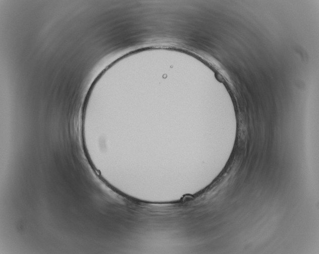X0000112031343200909141048