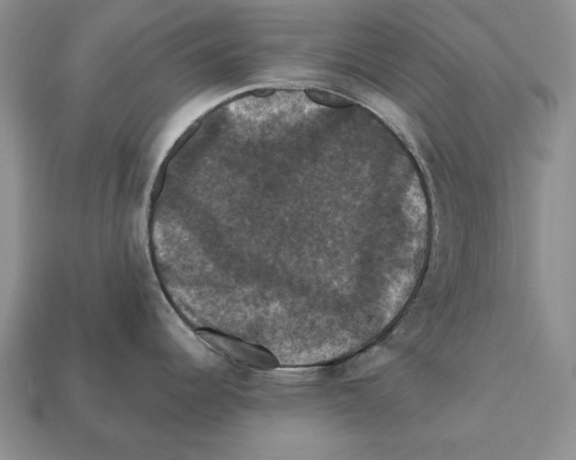 X0000112031344200909141048