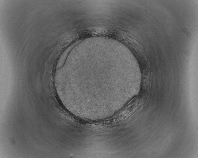 X0000112031345200909141048