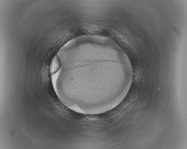 X0000112031346200909141048