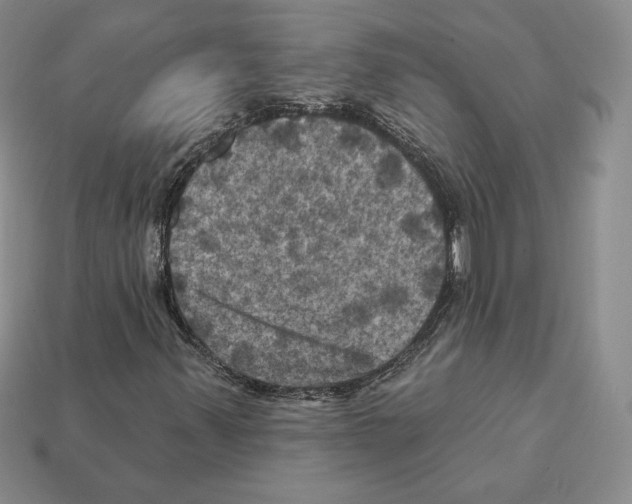 X0000112031347200909141048