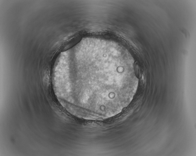 X0000112031348200909141048