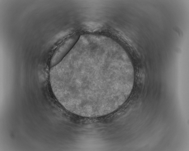 X0000112031349200909141048