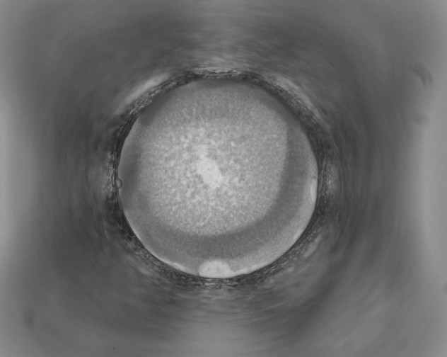 X0000112031350200909141048