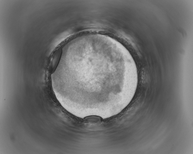 X0000112031352200909141048