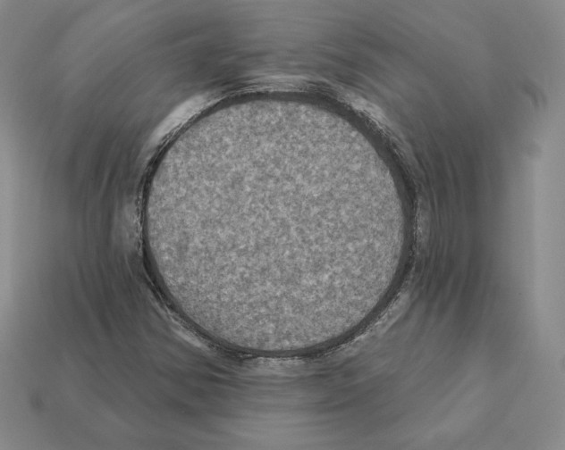 X0000112031354200909141048