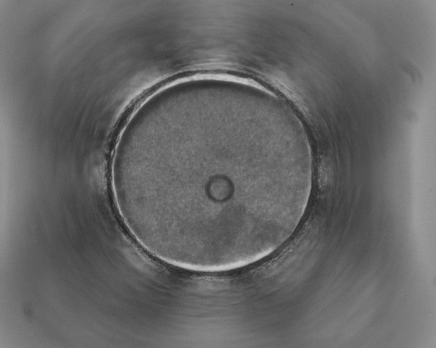 X0000112031356200909141048