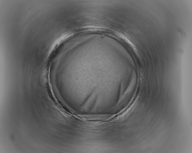 X0000112031357200909141048