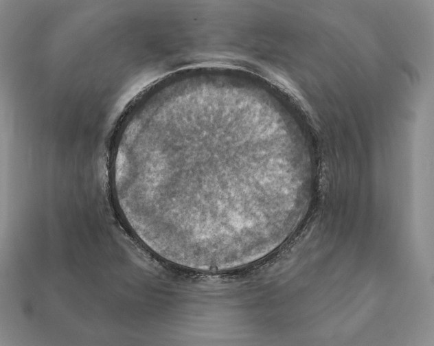 X0000112031360200909141048