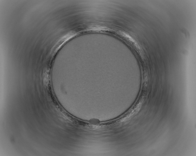 X0000112031361200909141048