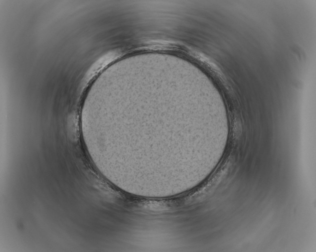 X0000112031362200909141048