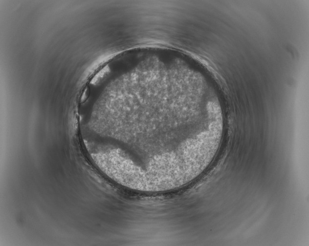 X0000112031363200909141048