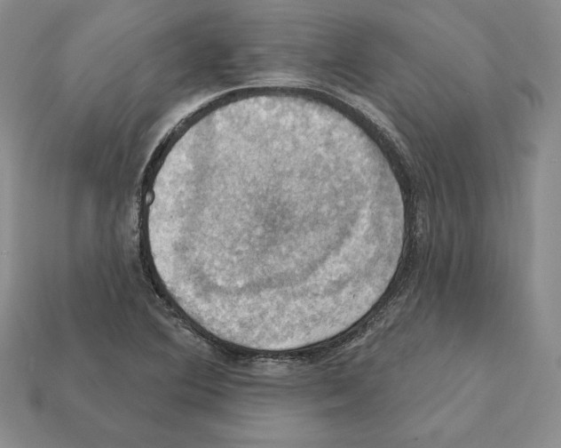 X0000112031364200909141048