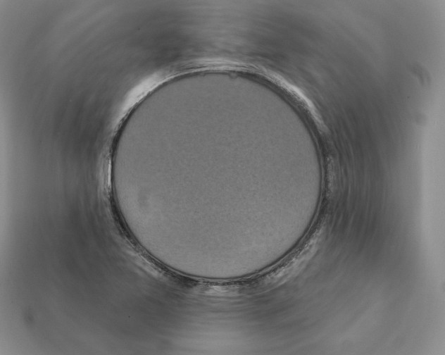 X0000112031365200909141047