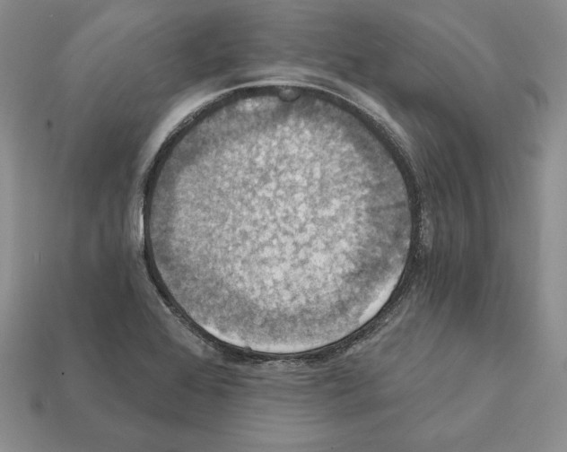 X0000112031368200909141047