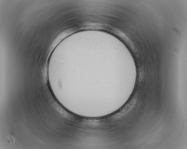X0000112031370200909141047